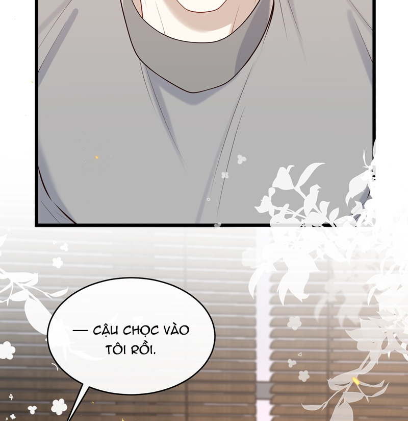 Anh Ấy Đến Từ Màn Đêm Chapter 43 - Next Chapter 44