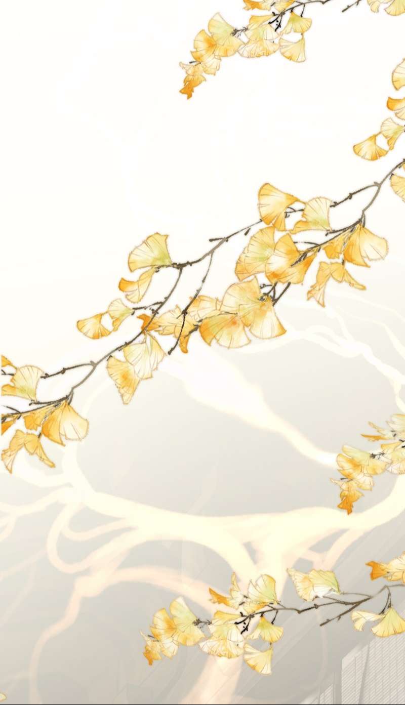 Chuyển Nghịch Âm Dương Chapter 6 - Trang 4