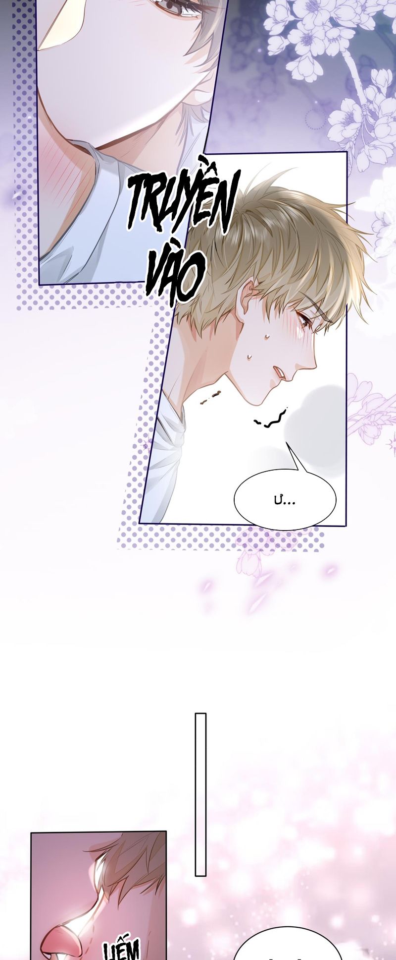 Tôi Thích Tin Tức Tố Của Cậu Chapter 20 - Trang 4