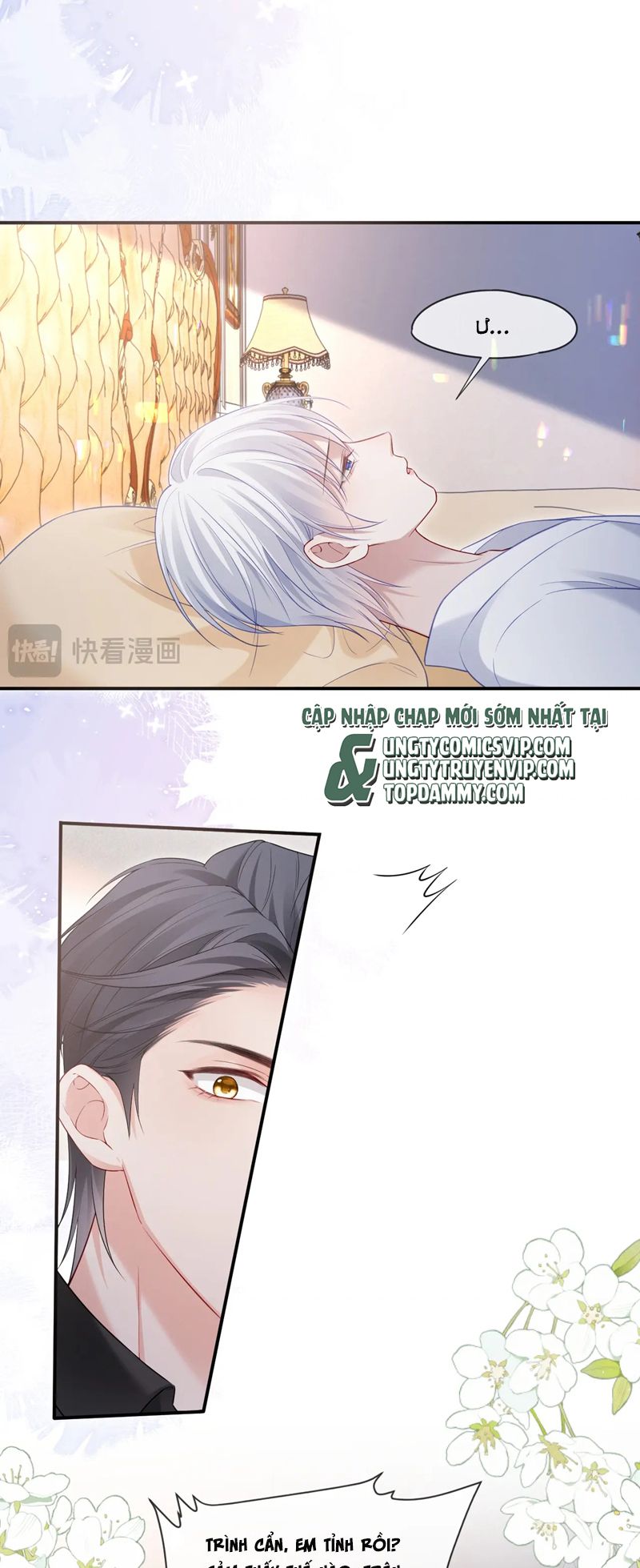 Đơn Xin Ly Hôn Chap 128 - Trang 2