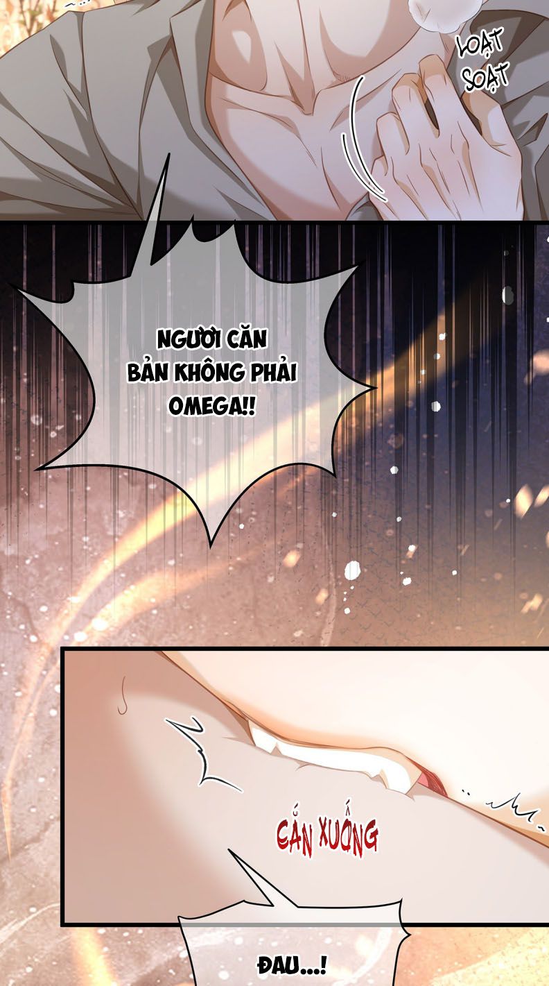 Tôi Trùng Sinh Trở Thành Tiểu Ác Long Của Vương Tử Điện Hạ Chapter 31 - Trang 4