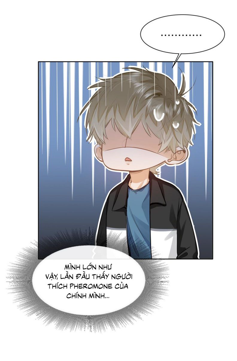 Tôi Thích Tin Tức Tố Của Cậu Chapter 24 - Trang 4