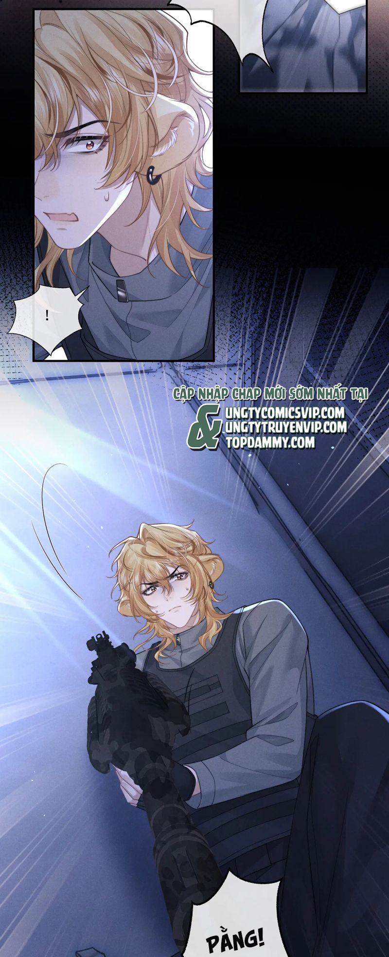Chấp Sự Thỏ Cụp Tai Chapter 102 - Trang 4