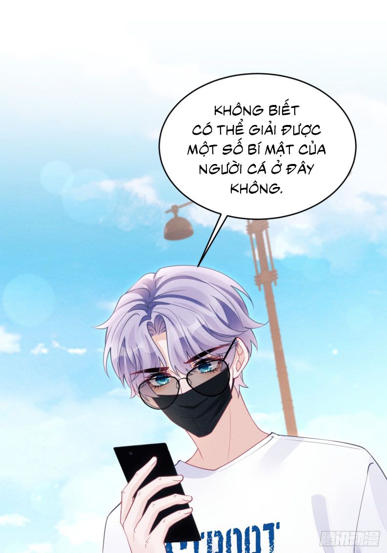 Tôi Hoài Nghi Ảnh Đế Đang Theo Đuổi Tôi Chapter 141 - Trang 4