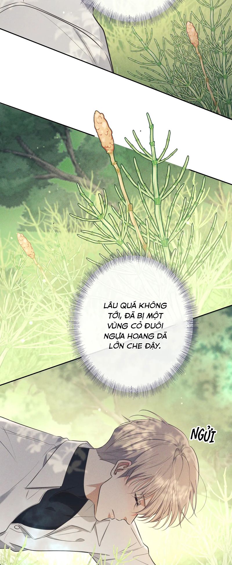 Đêm Tình Yêu Và Sát Ý Chap 17 - Trang 4