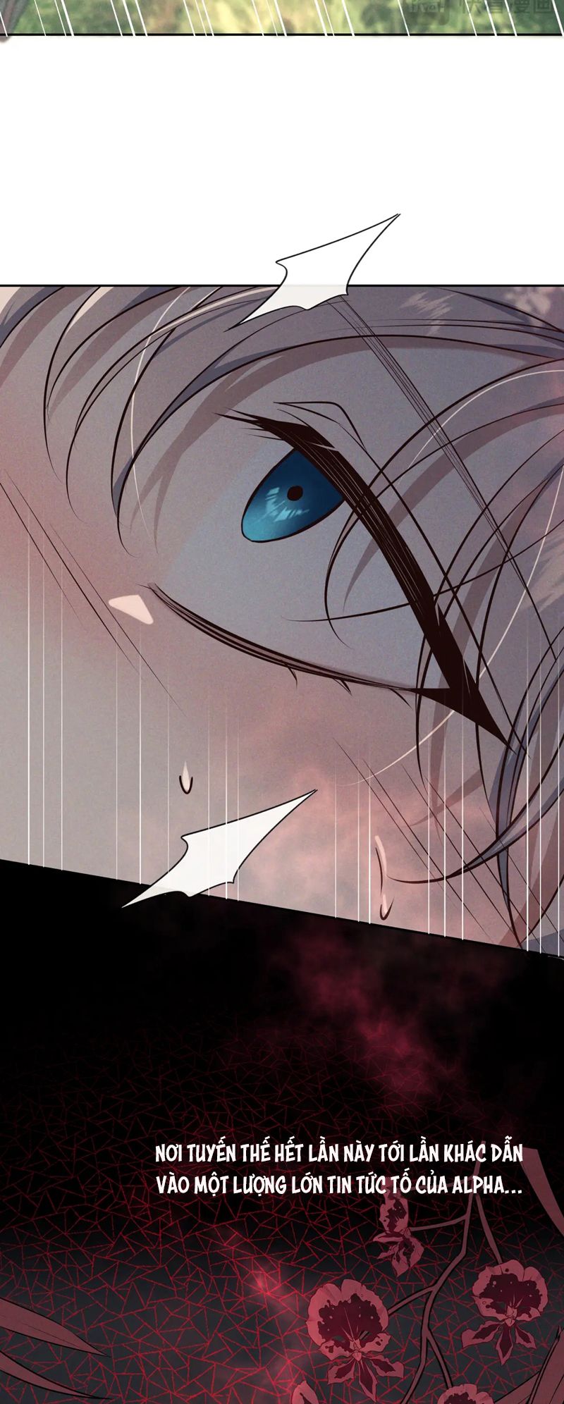 Đêm Tình Yêu Và Sát Ý Chap 17 - Trang 4
