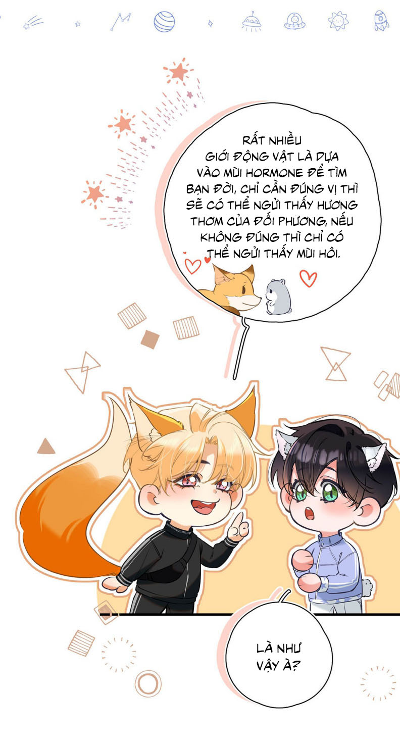 Từ Số Không Bắt Đầu Làm Bạn Trai Chapter 13 - Next Chapter 14