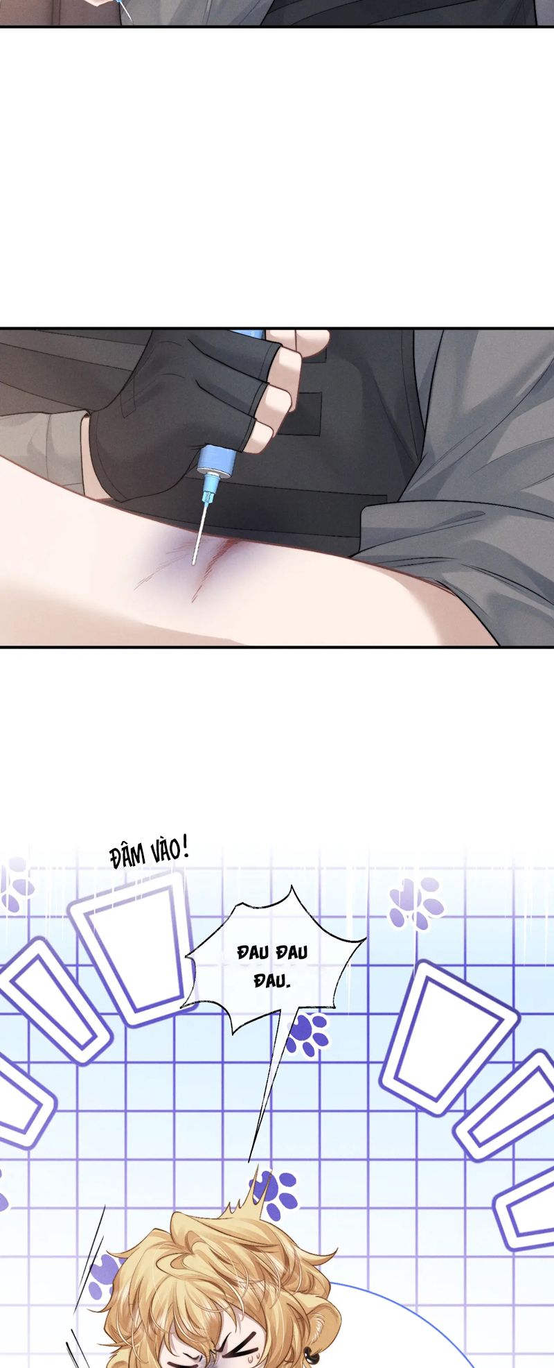 Chấp Sự Thỏ Cụp Tai Chapter 104 - Trang 4