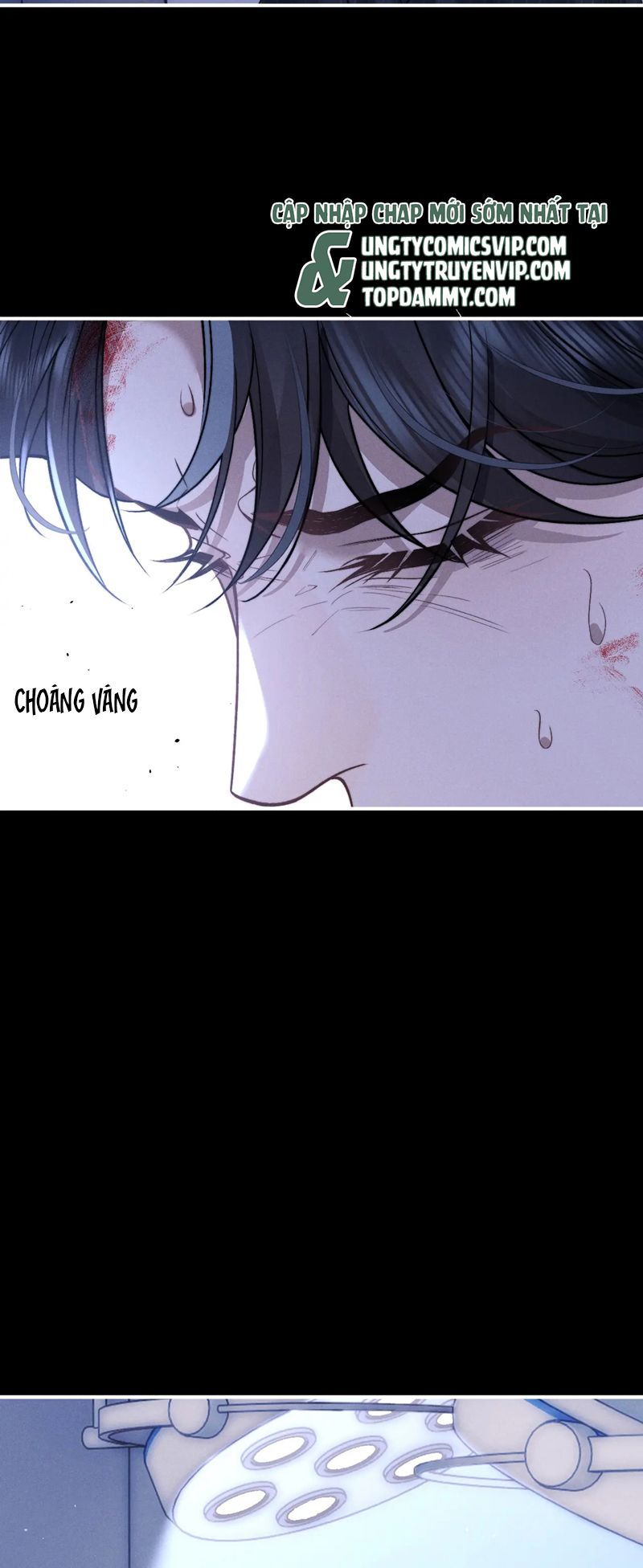 Chấp Sự Thỏ Cụp Tai Chapter 105 - Trang 4