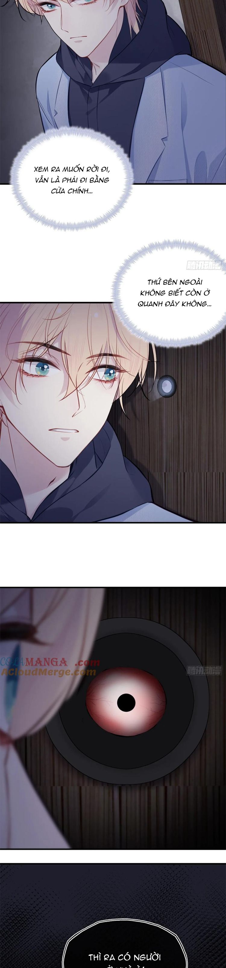 Anh Ấy Chưa Từng Rơi Xuống Chap 71 - Trang 4
