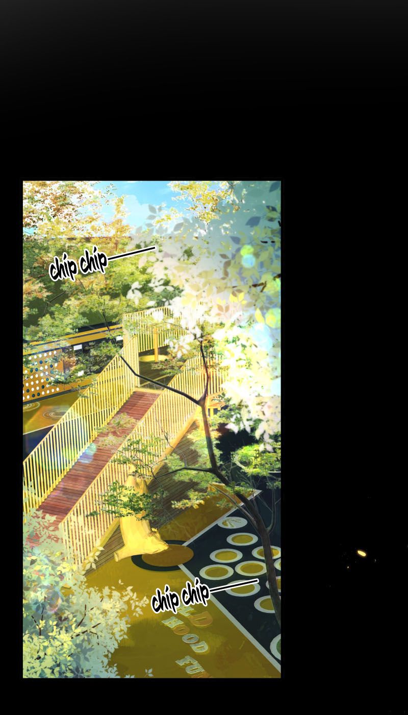 Anh Ấy Đến Từ Màn Đêm Chapter 51 - Next Chapter 52