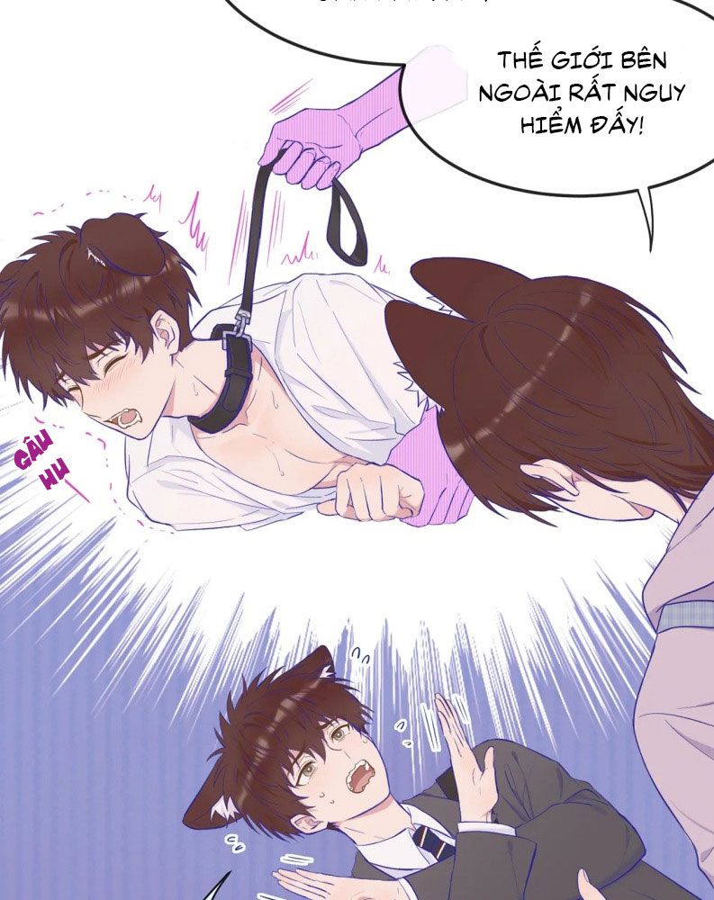 Cún Con Nói Dối Sẽ Bị Ăn Mất Chapter 1 - Trang 3