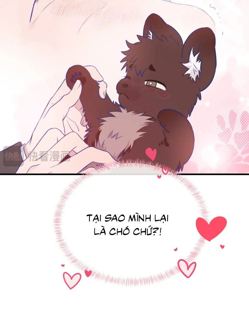 Cún Con Nói Dối Sẽ Bị Ăn Mất Chapter 6 - Trang 3