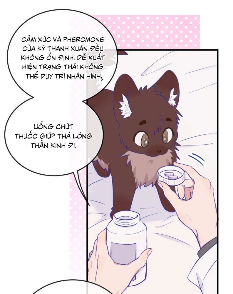 Cún Con Nói Dối Sẽ Bị Ăn Mất Chapter 6 - Trang 3