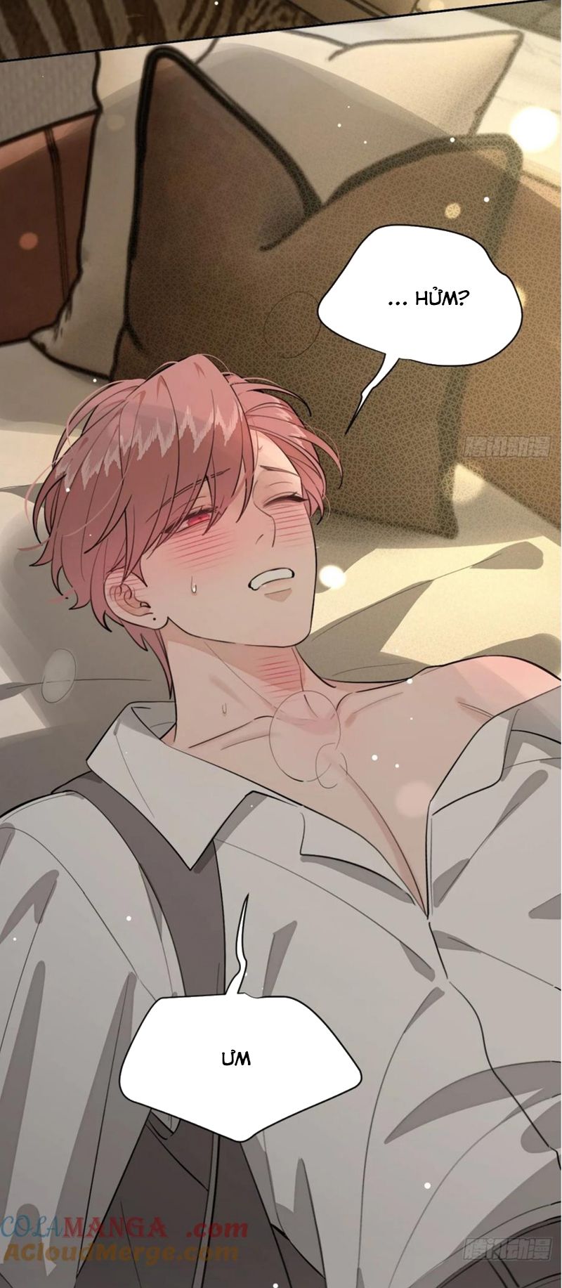 Chó Lớn Bắt Nạt Chủ Chapter 88 - Trang 3