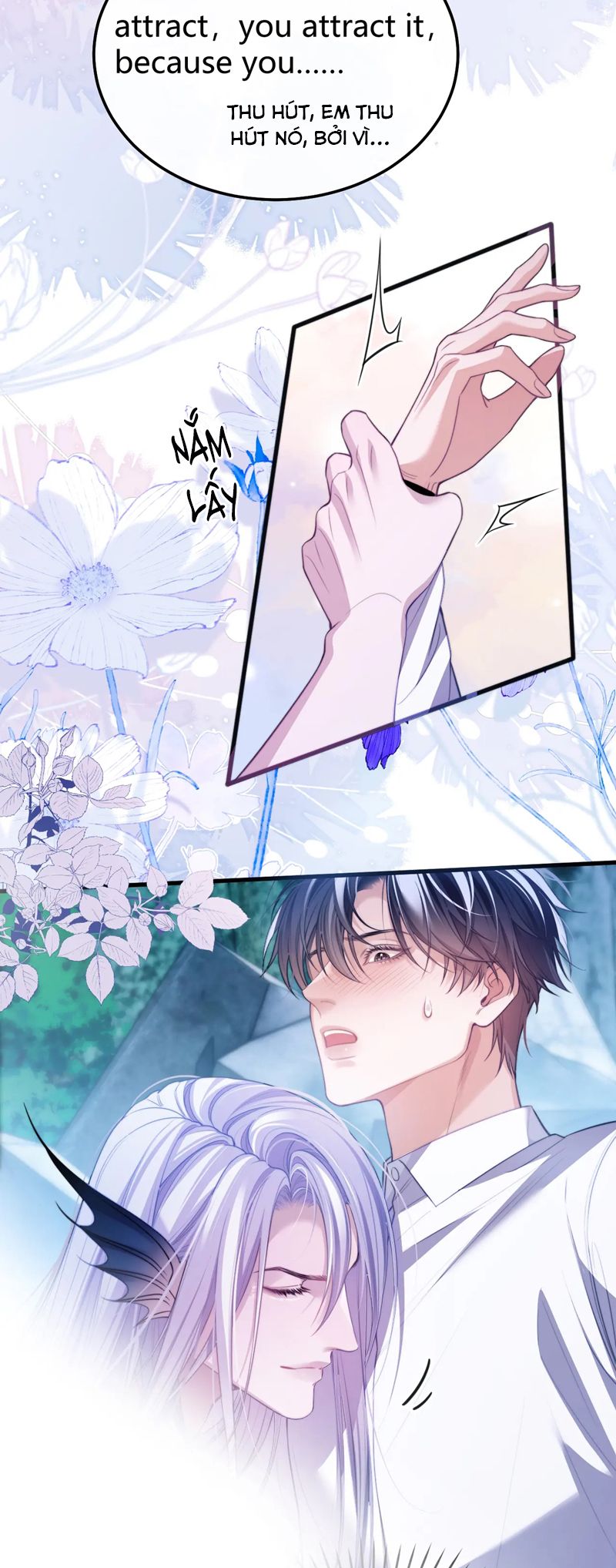 Desharow Nhân Ngư Chapter 52 - Trang 4