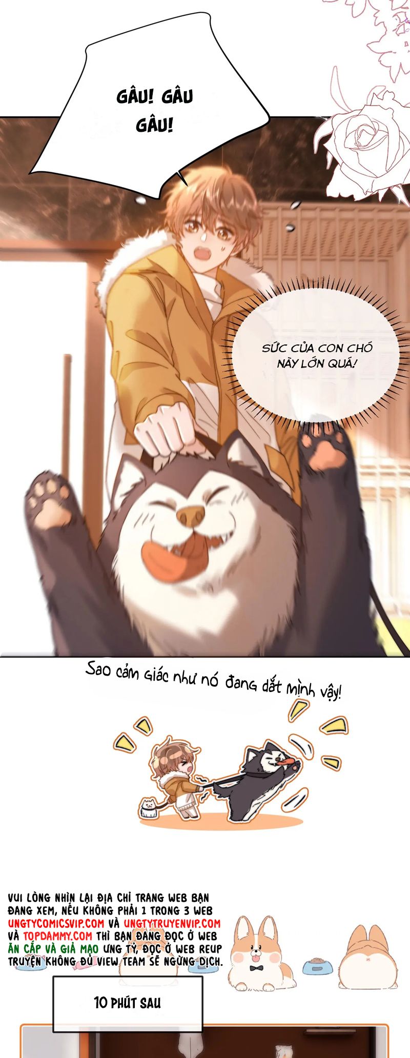 Chất Dị Ứng Đáng Yêu Chapter 49 - Trang 4