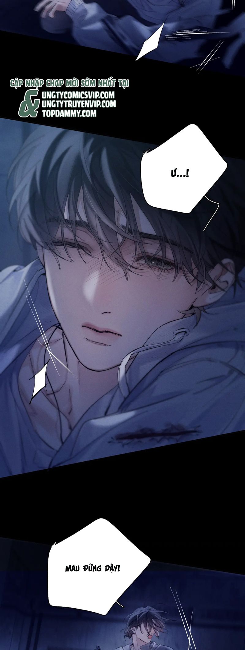 Cây Nấm Nhỏ Chap 27 - Next Chap 28