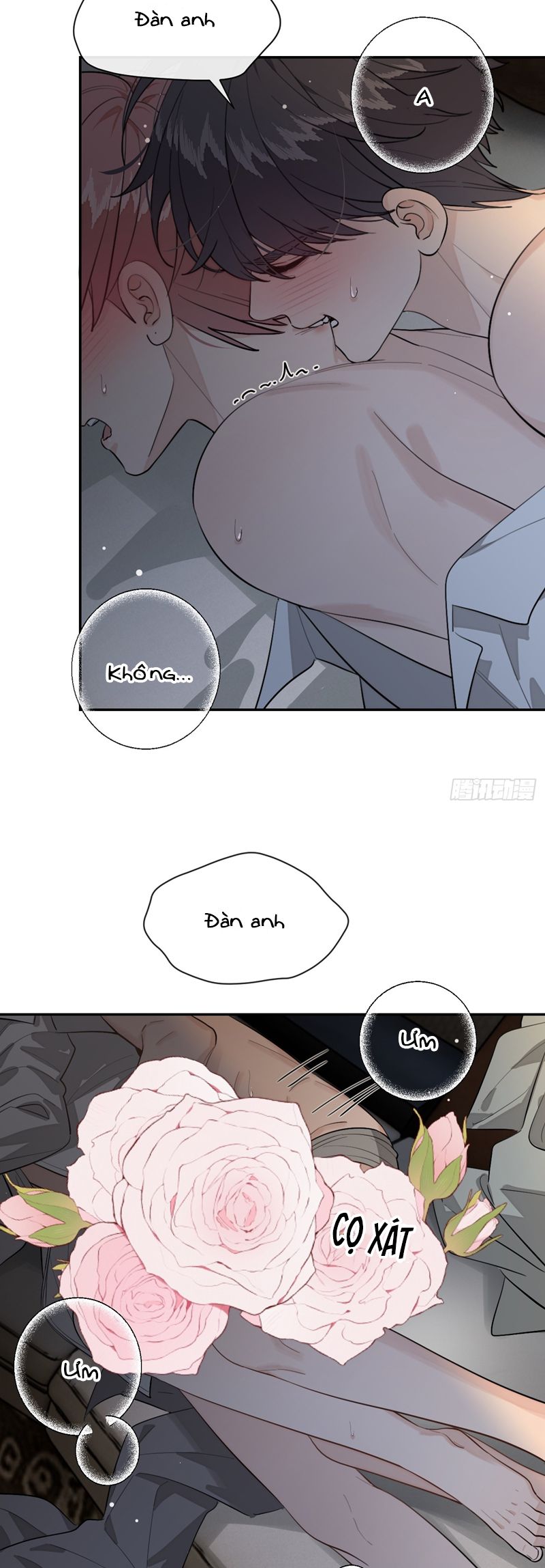 Chó Lớn Bắt Nạt Chủ Chapter 89 - Trang 3
