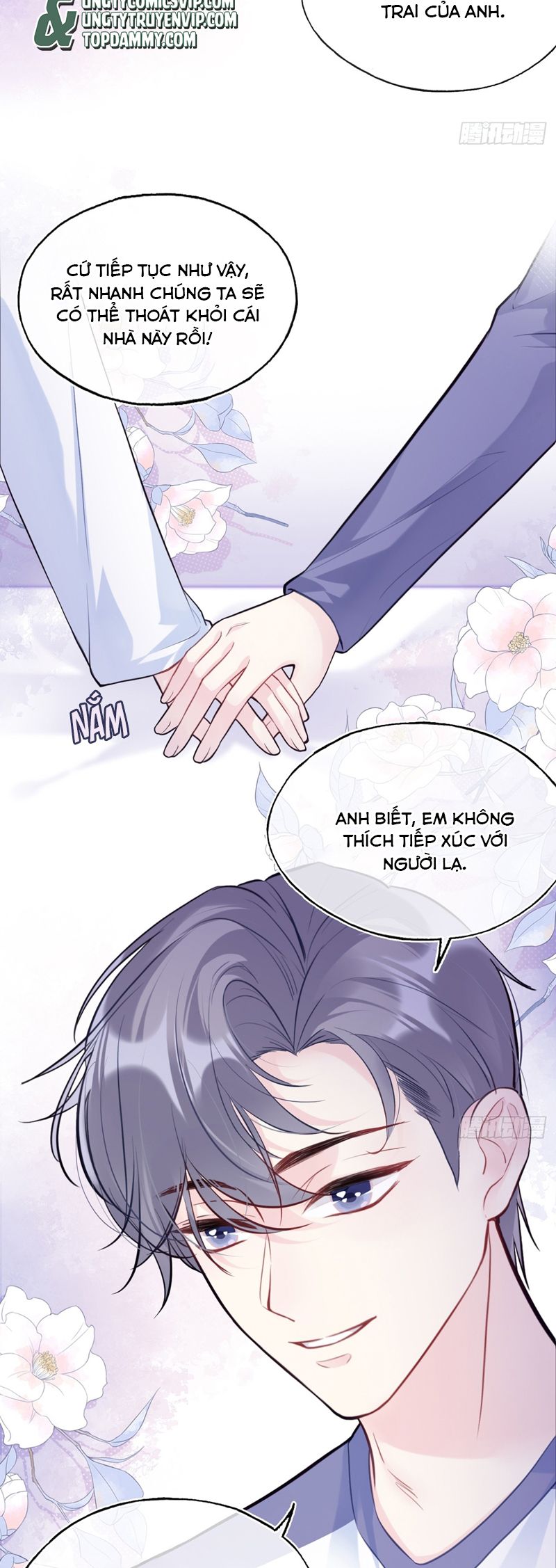 Anh Ấy Chưa Từng Rơi Xuống Chap 77 - Trang 4