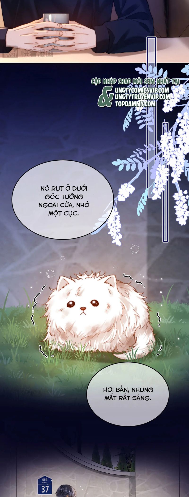 Chất Dị Ứng Đáng Yêu Chapter 52 - Trang 4