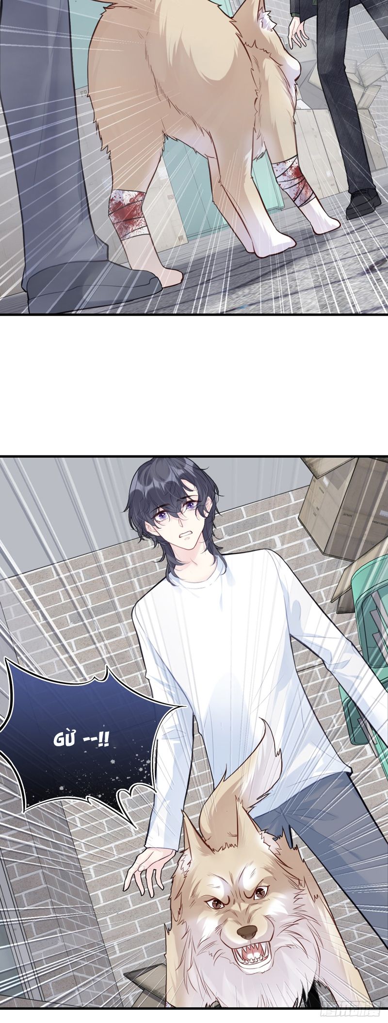 Anh Ấy Chưa Từng Rơi Xuống Chap 78 - Trang 4