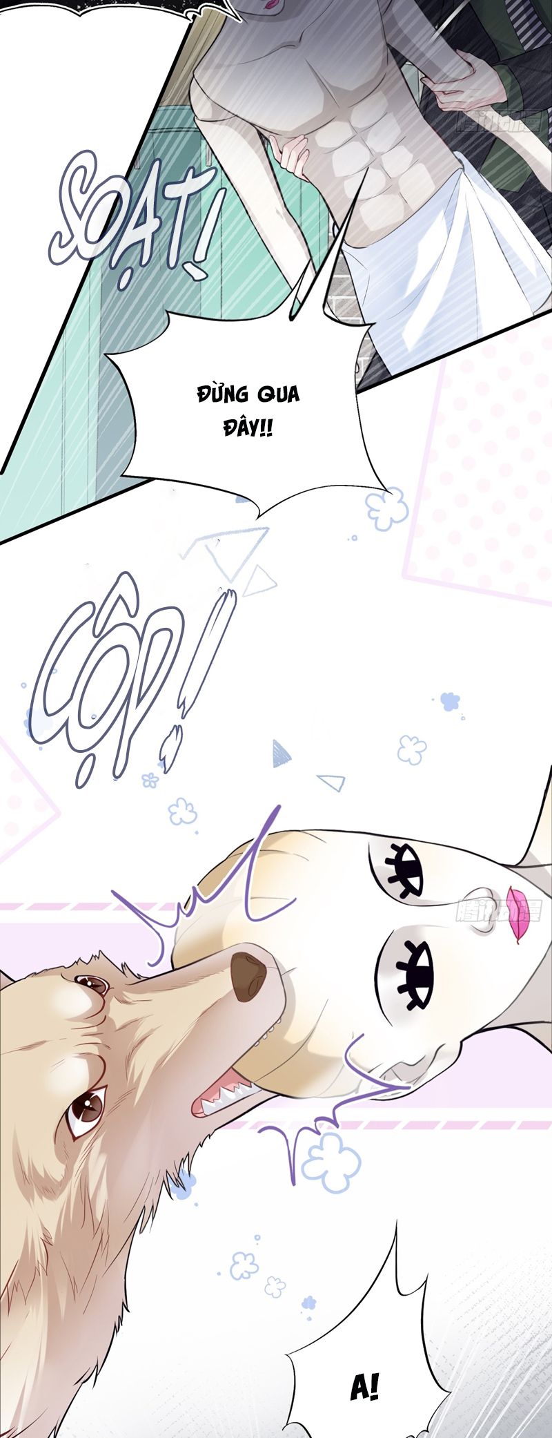 Anh Ấy Chưa Từng Rơi Xuống Chap 78 - Trang 4