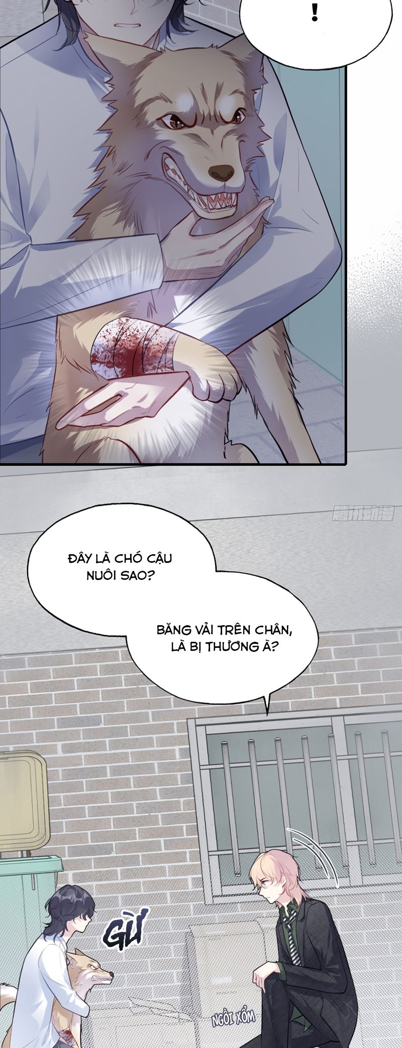 Anh Ấy Chưa Từng Rơi Xuống Chap 78 - Trang 4