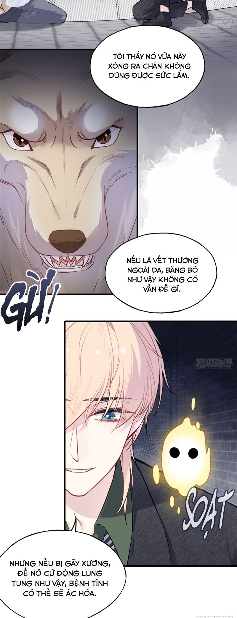 Anh Ấy Chưa Từng Rơi Xuống Chap 78 - Trang 4