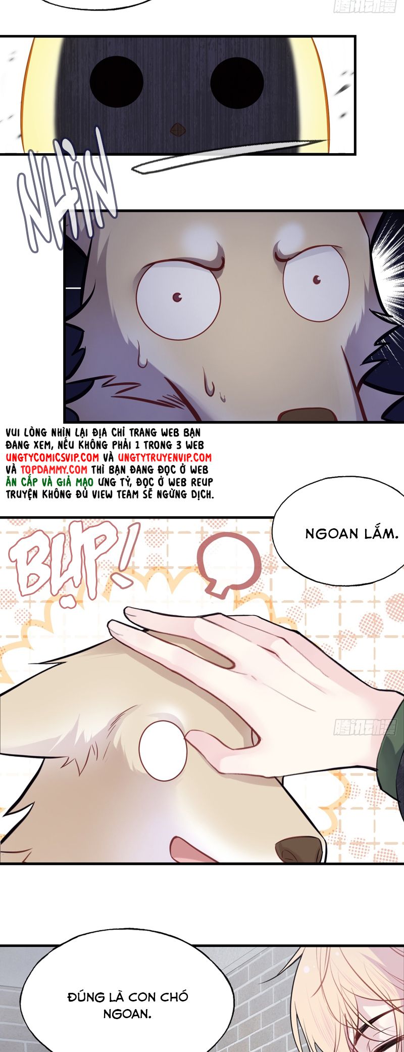 Anh Ấy Chưa Từng Rơi Xuống Chap 78 - Trang 4