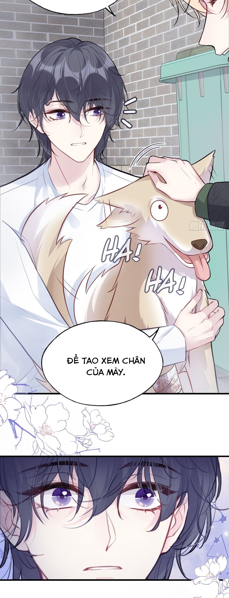 Anh Ấy Chưa Từng Rơi Xuống Chap 78 - Trang 4