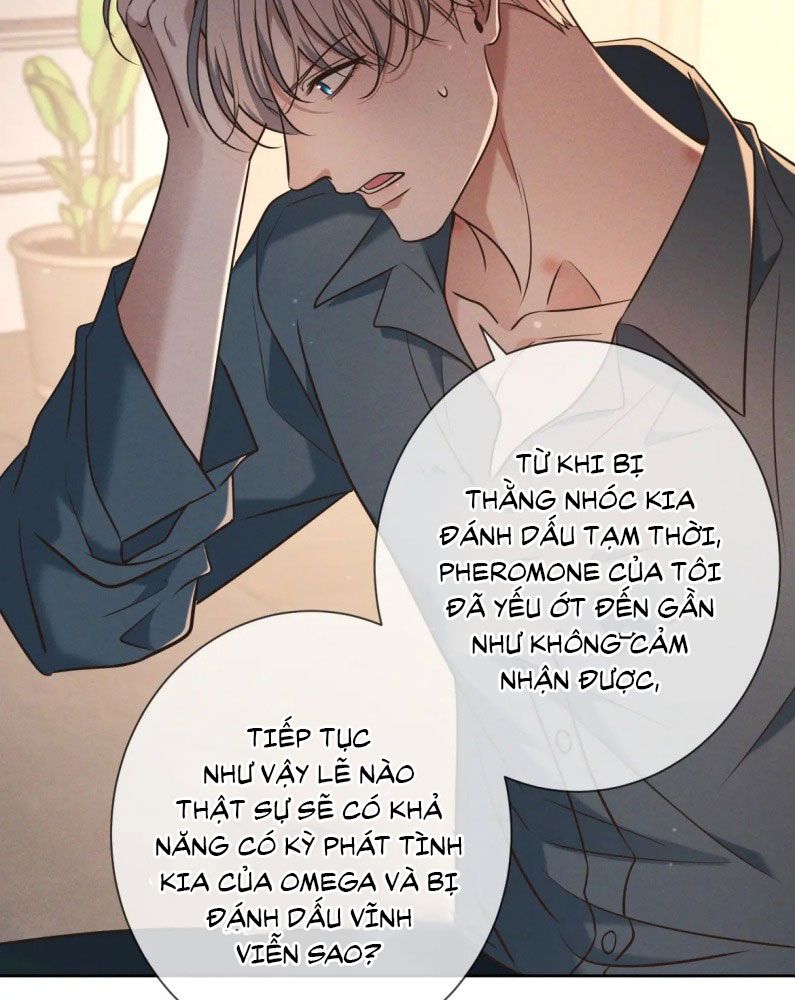 Đêm Tình Yêu Và Sát Ý Chapter 25 - Trang 4
