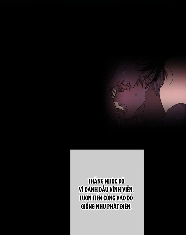 Đêm Tình Yêu Và Sát Ý Chapter 25 - Trang 4