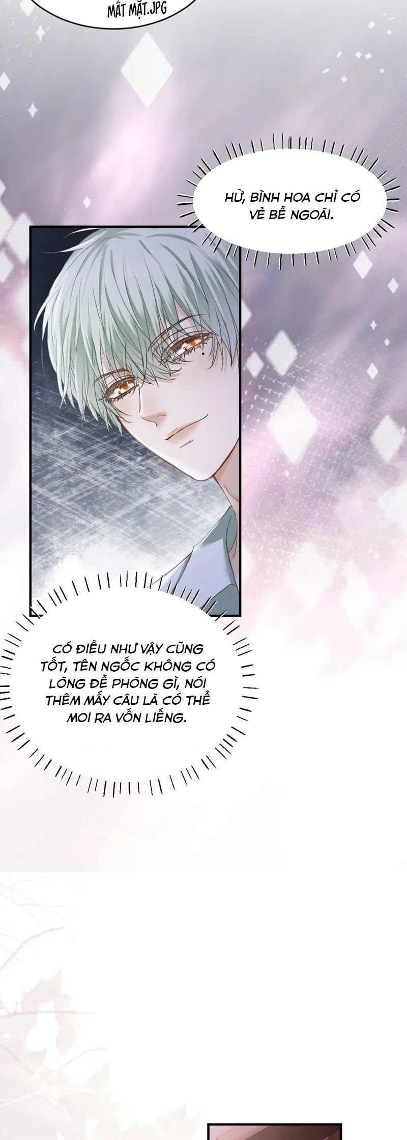 Tiểu Thiếu Gia Dựa Vào Mỹ Mạo Hoành Hành Toàn Hệ Thống Chapter 36 - Trang 4