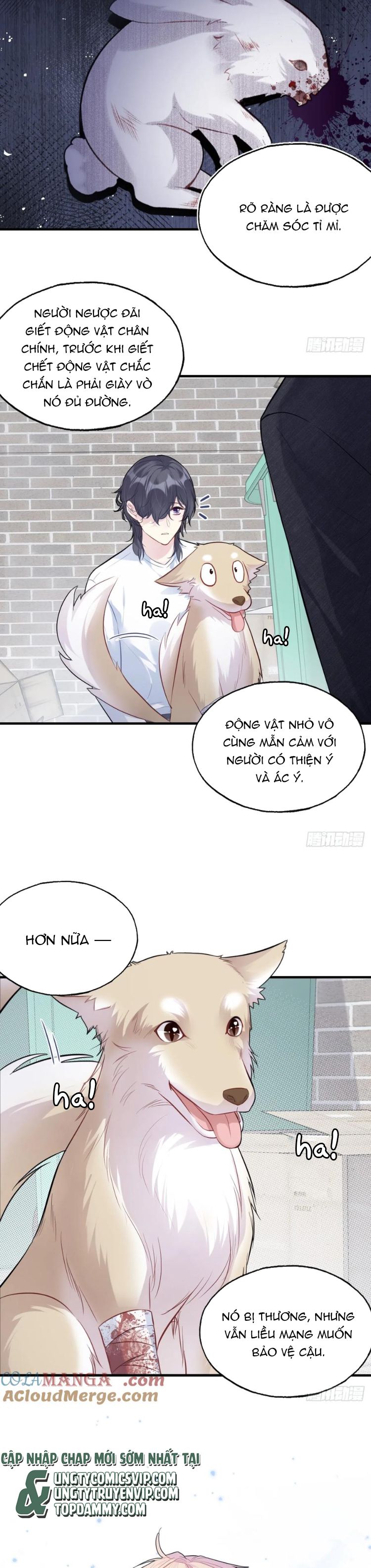 Anh Ấy Chưa Từng Rơi Xuống Chap 79 - Trang 4