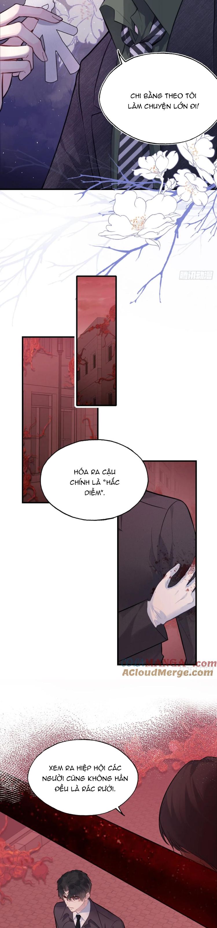 Anh Ấy Chưa Từng Rơi Xuống Chap 80 - Trang 4