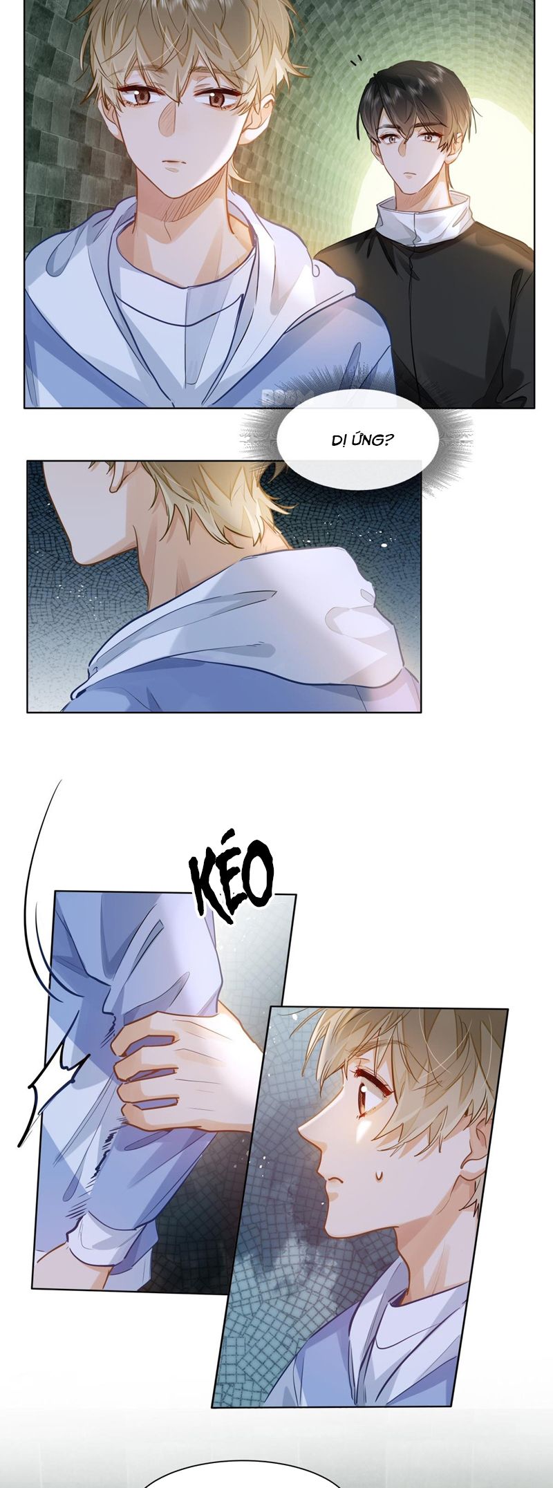 Tôi Thích Tin Tức Tố Của Cậu Chapter 38 - Trang 4