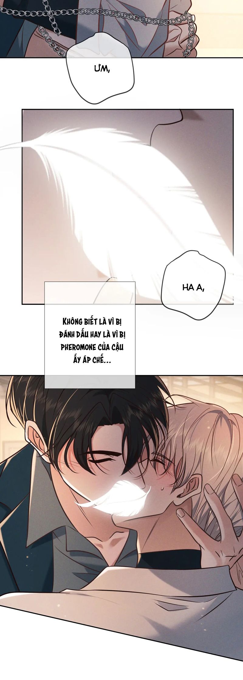 Đêm Tình Yêu Và Sát Ý Chapter 28 - Trang 4