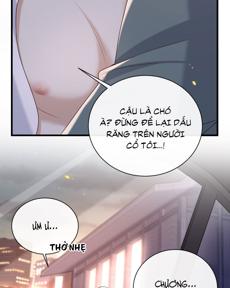 Anh Ấy Đến Từ Màn Đêm Chapter 58 - Next Chapter 59