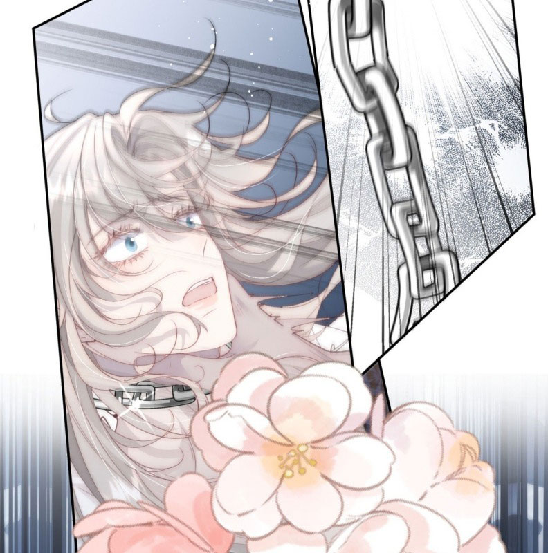 Lồng Tuyết Chapter 1 - Trang 4