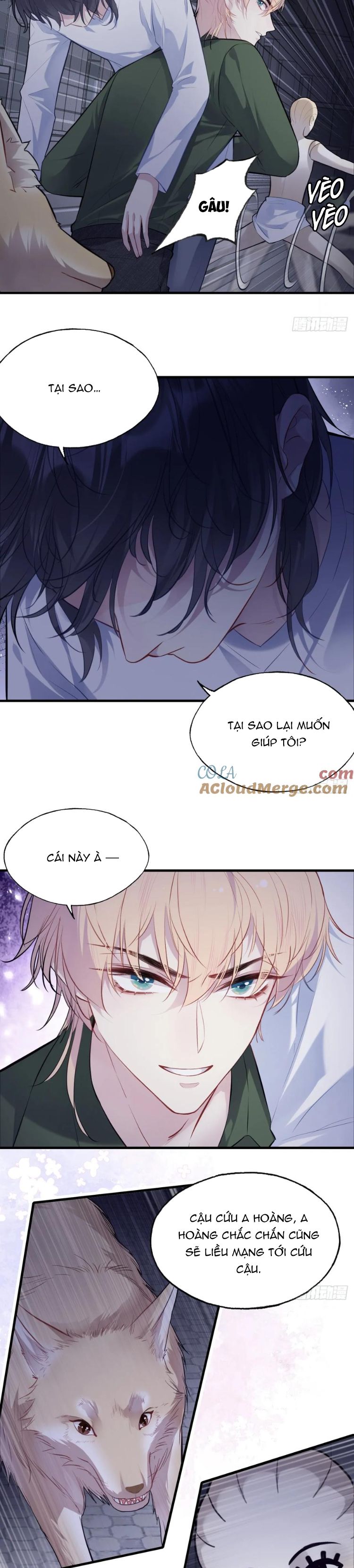 Anh Ấy Chưa Từng Rơi Xuống Chap 82 - Trang 4