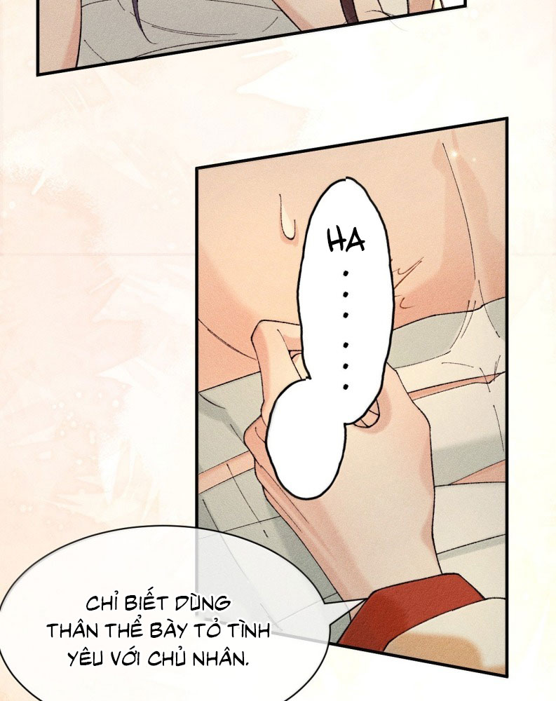 Hải Vương Sau Khi Hoàn Lương Sa Vào Tu La Tràng Chap 16 - Trang 4