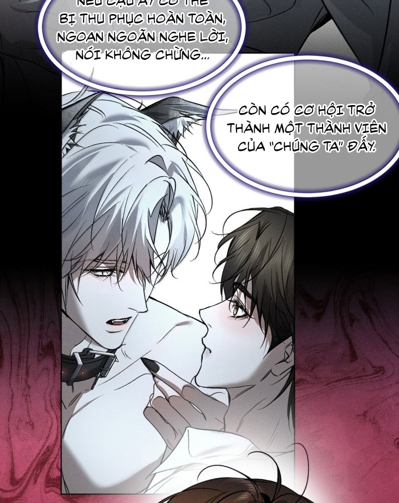 Ảnh Đế Cứ Muốn Làm Kim Chủ Của Tôi Chapter 39 - Trang 4