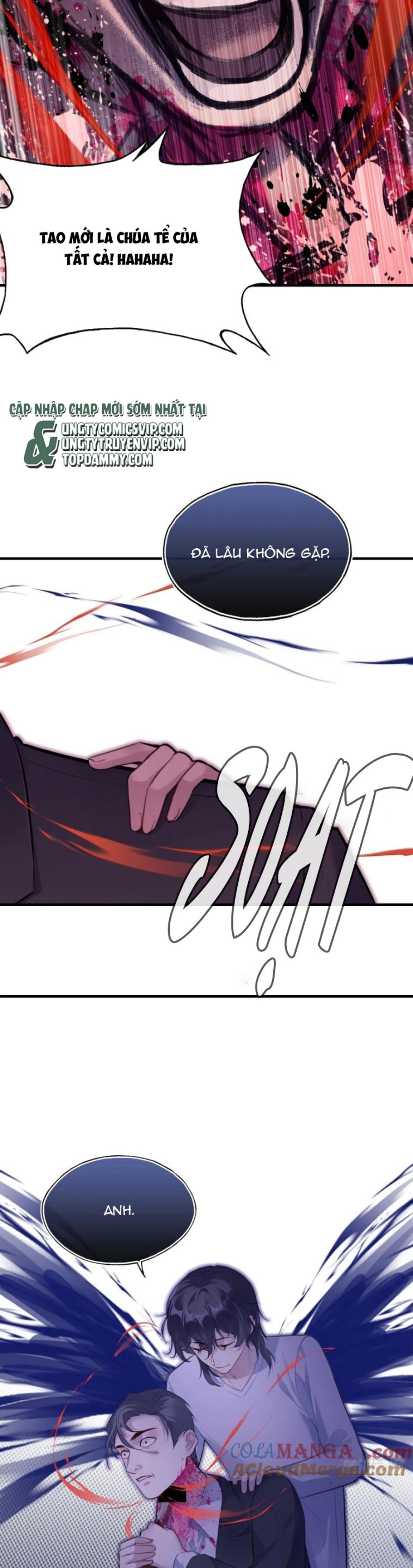 Anh Ấy Chưa Từng Rơi Xuống Chap 84 - Trang 4