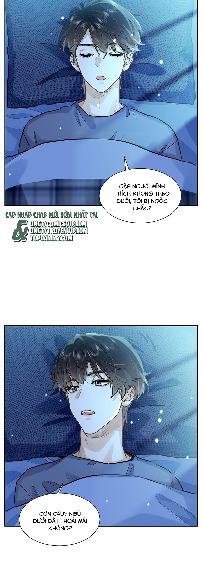 Tôi Thích Tin Tức Tố Của Cậu Chapter 42 - Next Chapter 43