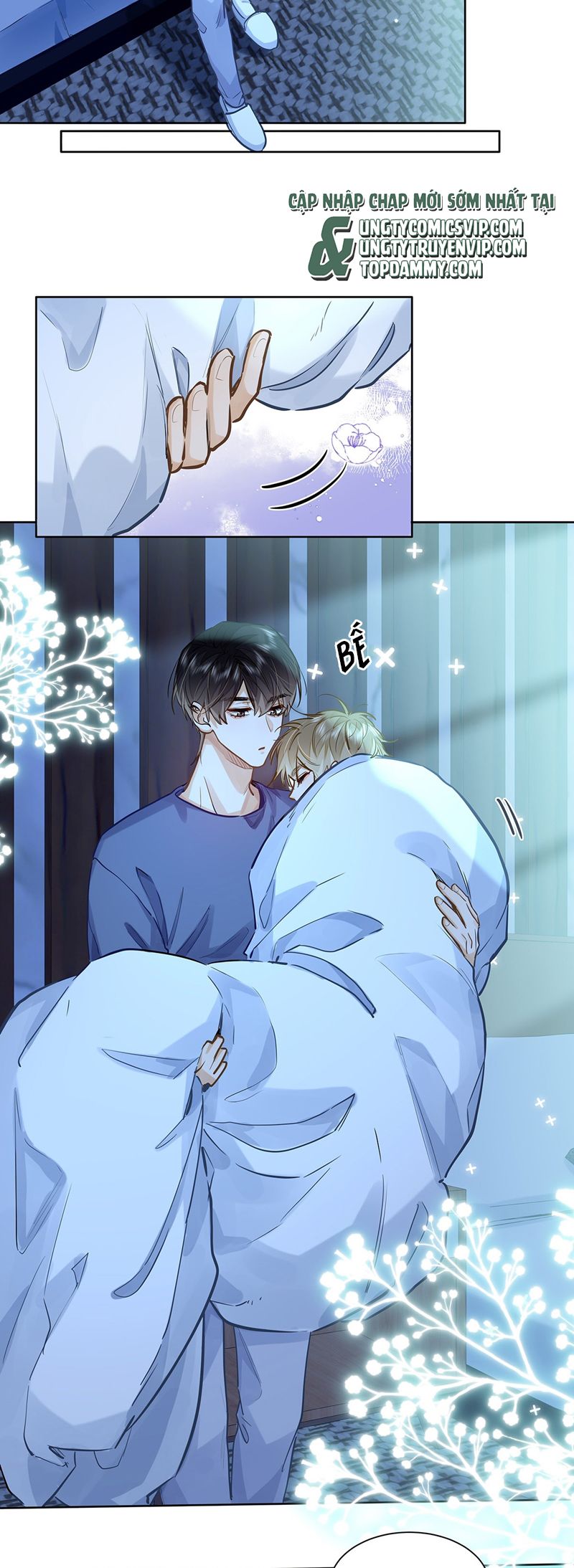 Tôi Thích Tin Tức Tố Của Cậu Chapter 42 - Next Chapter 43