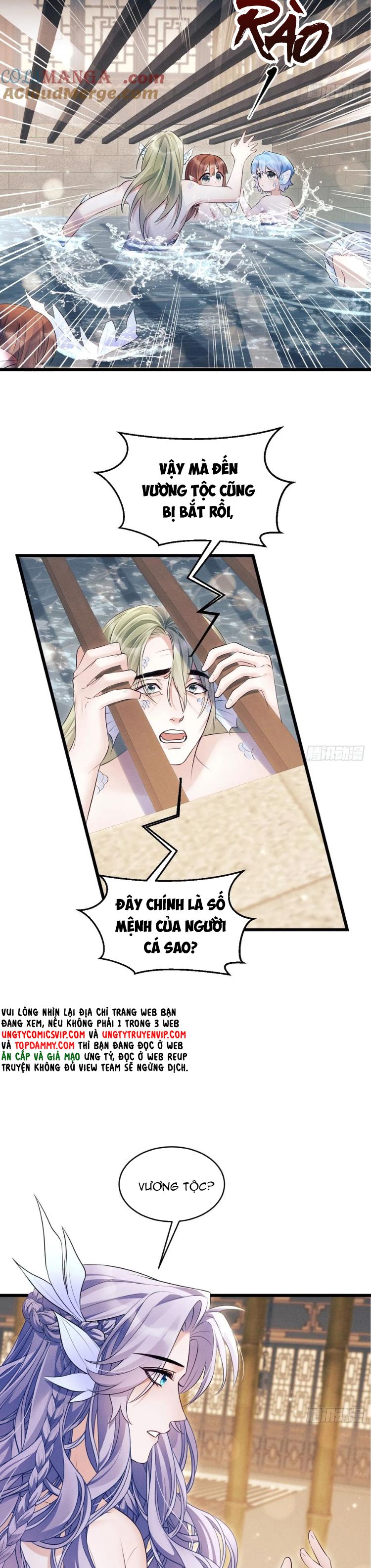 Tôi Hoài Nghi Ảnh Đế Đang Theo Đuổi Tôi Chapter 155 - Trang 4
