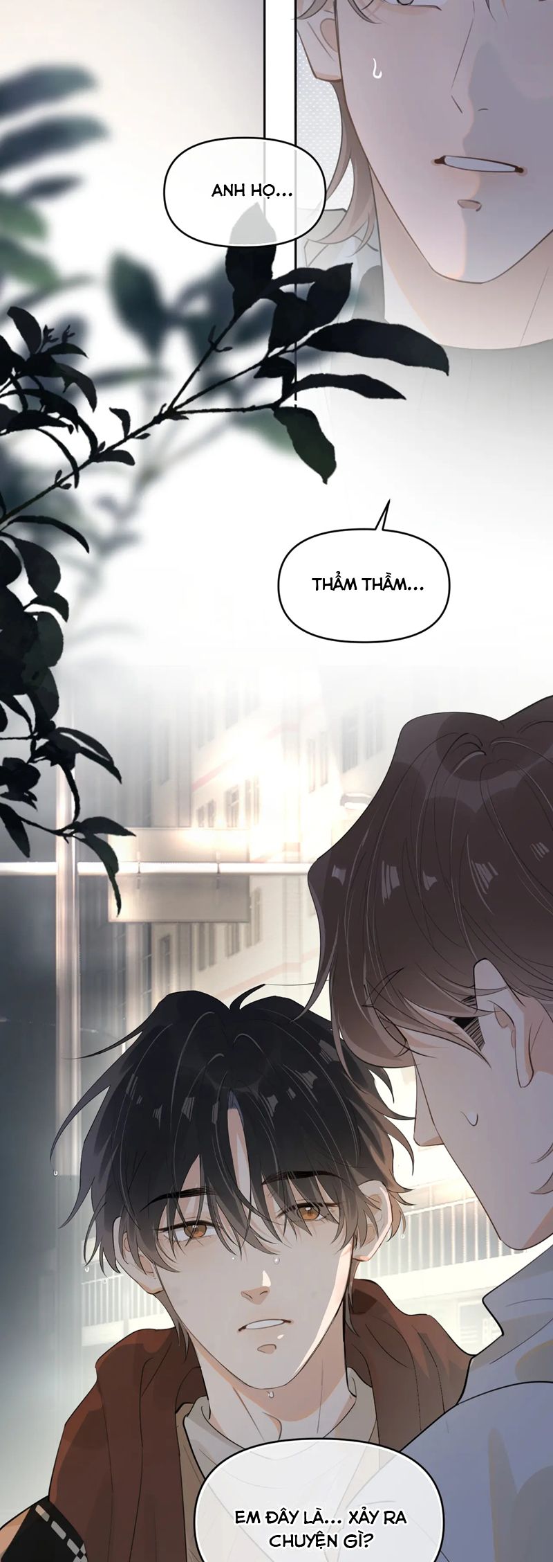 Cậu Vượt Giới Rồi Chapter 37 - Trang 4