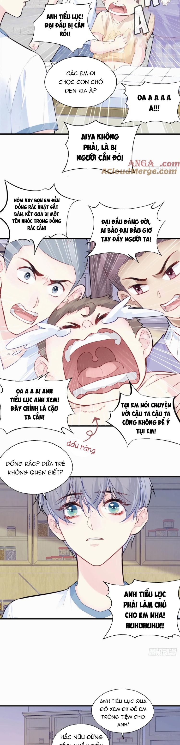 Anh Ấy Chưa Từng Rơi Xuống Chap 86 - Trang 4