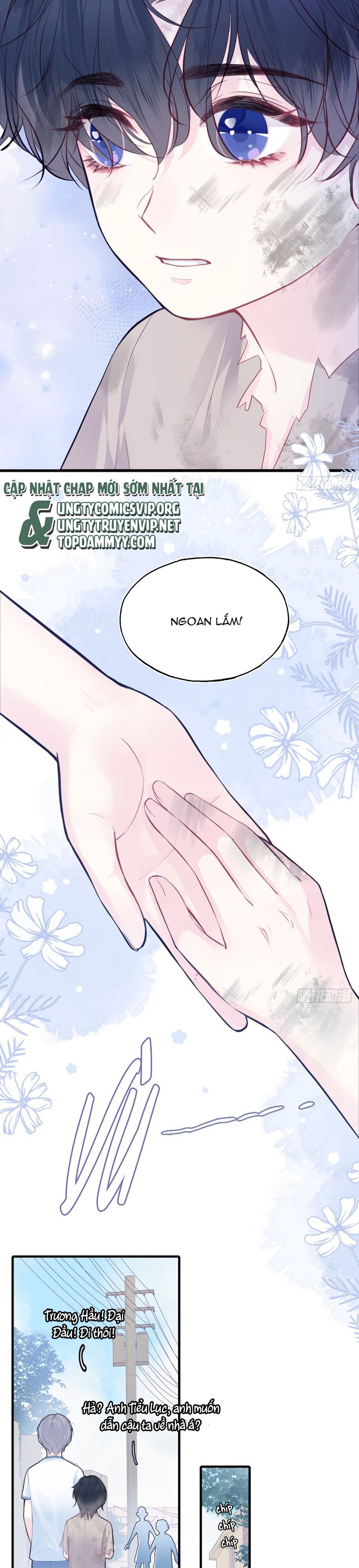 Anh Ấy Chưa Từng Rơi Xuống Chap 87 - Trang 4